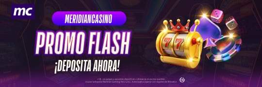 Promo Flash T&C