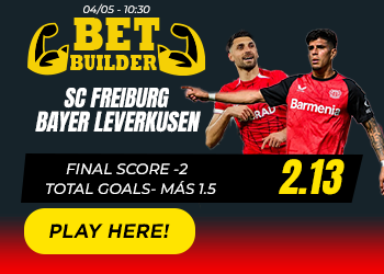 Play in Bundesliga